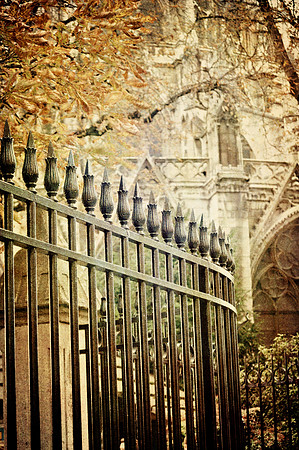 Notre Dame Courtyard