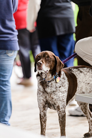 Walk for Life 2015 (1 of 107).jpg