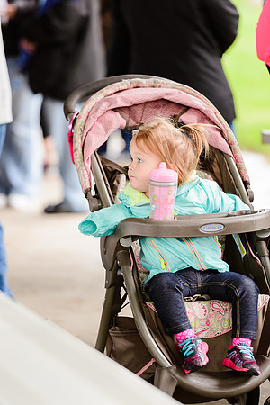 Walk for Life 2015 (3 of 107).jpg