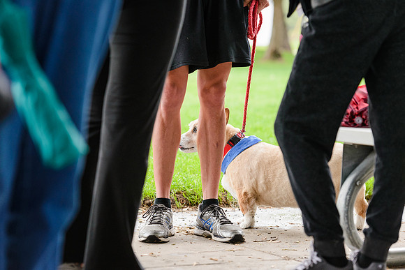 Walk for Life 2015 (4 of 95).jpg