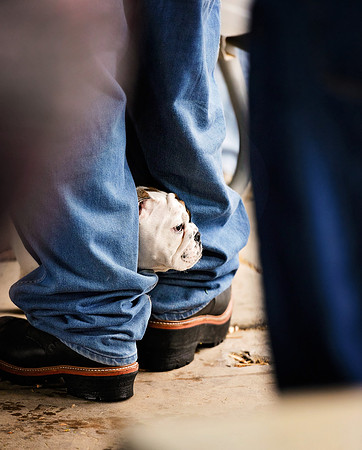 Walk for Life 2015 (1 of 83).jpg