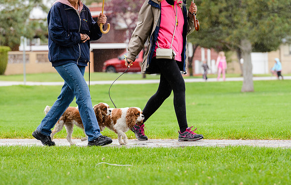 Walk for Life 2015 (51 of 83).jpg