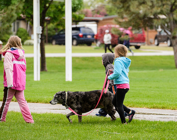 Walk for Life 2015 (54 of 83).jpg