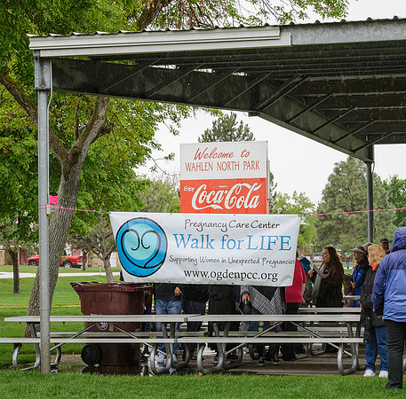 Walk for Life 2015 (2 of 42).jpg
