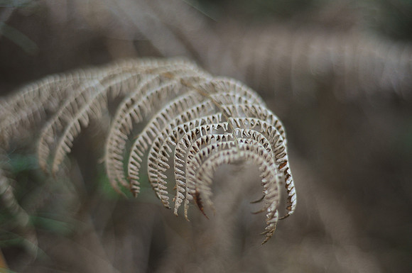 DSC_0103