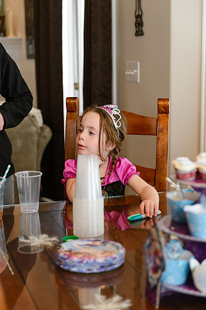 mar 2015 Doumit party web (5 of 6).jpg