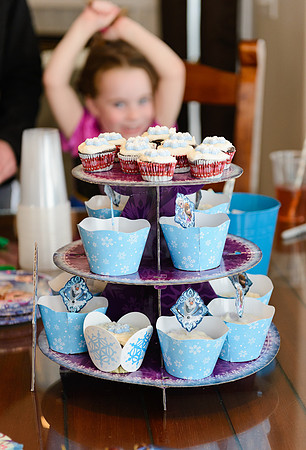 mar 2015 Doumit party web (6 of 6).jpg