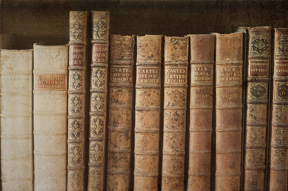 The Bookshelf