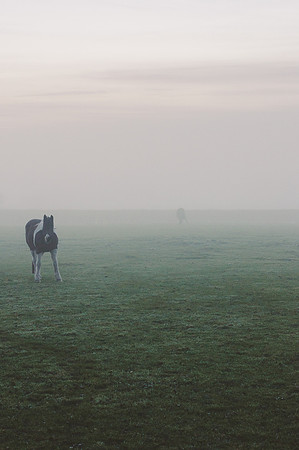 Foggy sunset