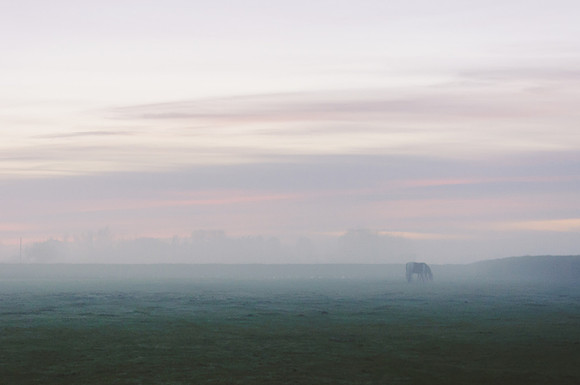 DSC_0126