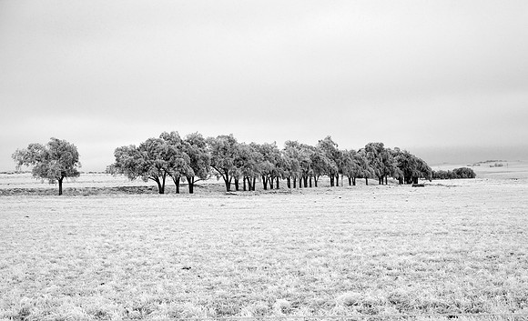 Snow on the Prairie