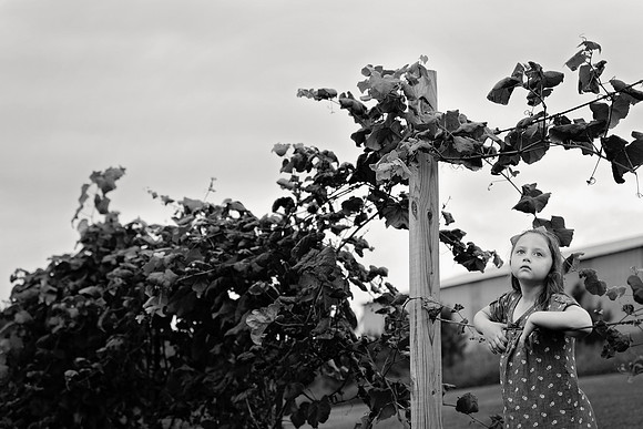 20160907-_DSC5069-Edit.jpg